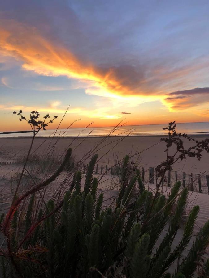 Residence Le Sunset Marseillan-Plage, Entre Mer Et Lagune De Thau, Etape Velo, Famille, Couple, Vrp, Toutou Admis, Jardin, Parking Prive Gratuit, Velos, Clim, Wifi Fibre Gratuite, Commodites, Plage Et Piste Cyclable A Proximite, 6 Couchages Nous Cont Zewnętrze zdjęcie